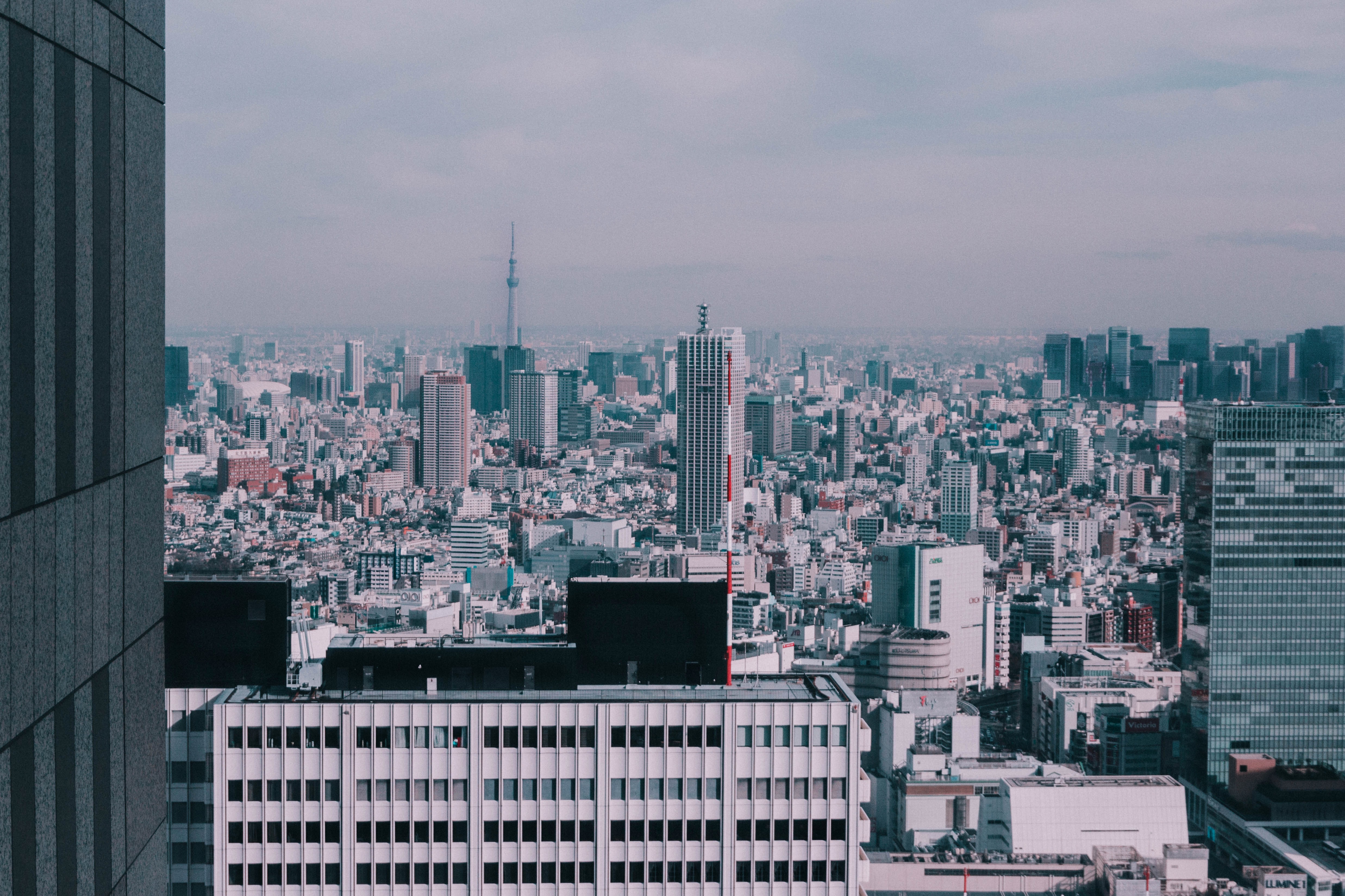 Tokyo, sushi, Japanese culture, cherry blossoms