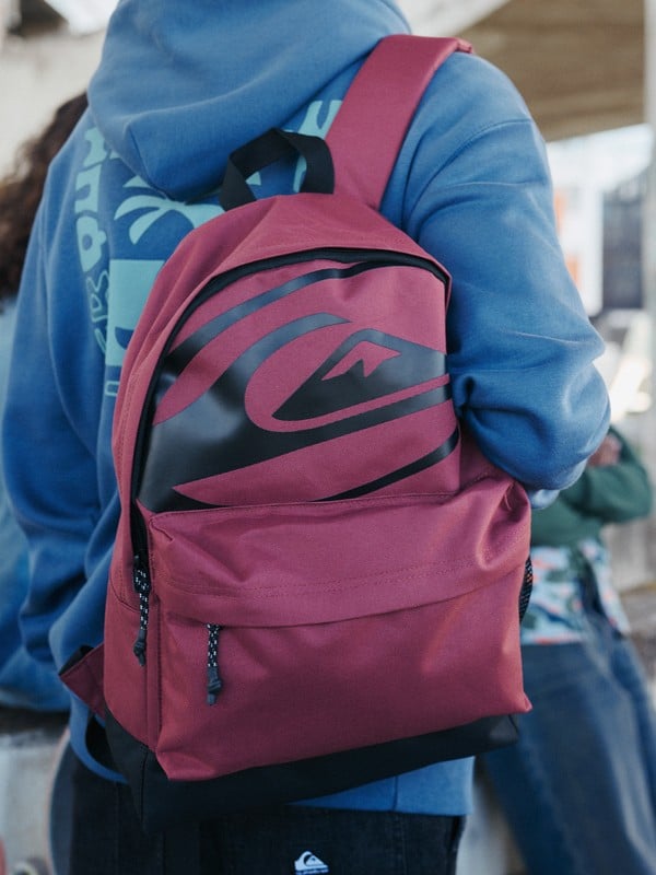 Zainetto Quiksilver Everyday 20L rosso