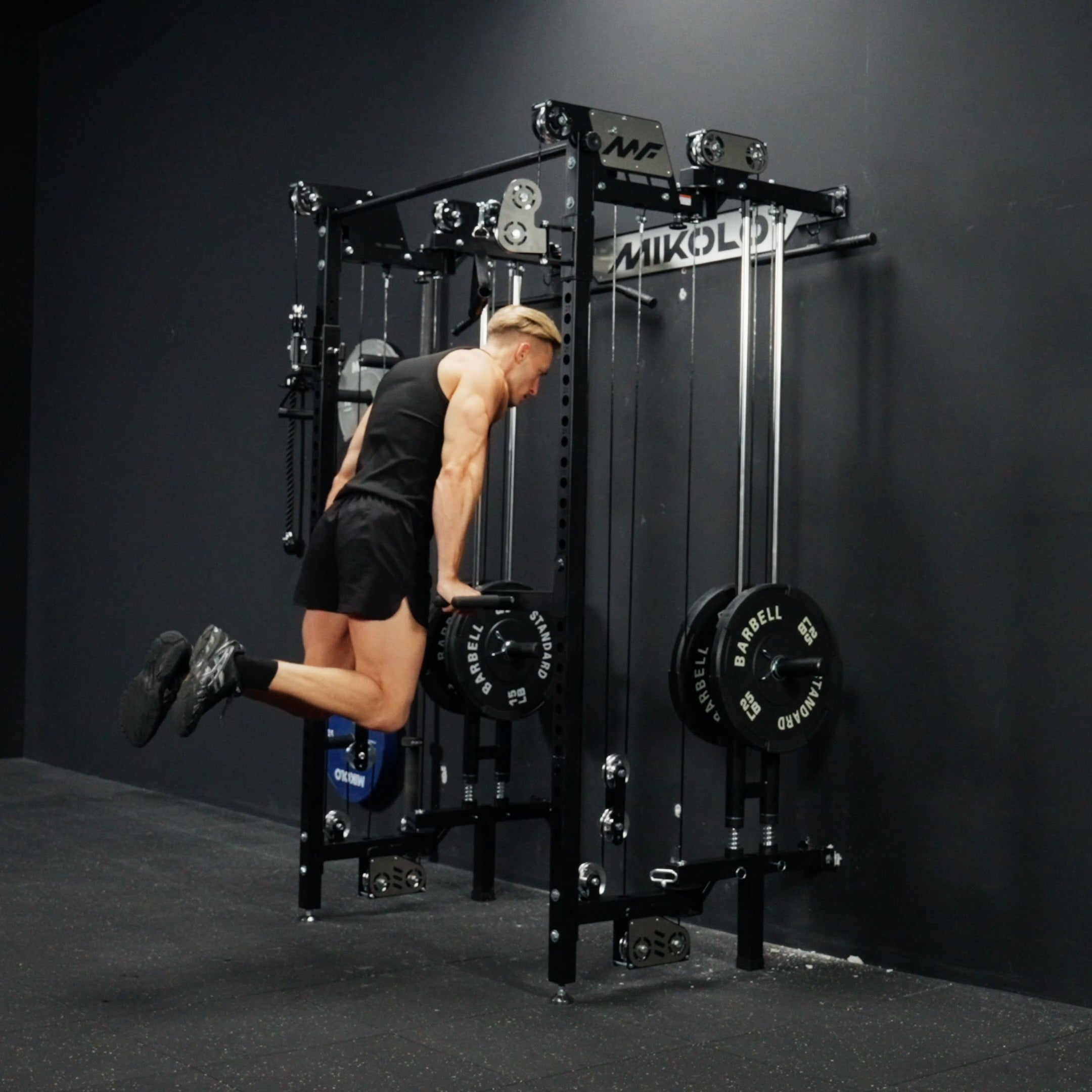 CHEETAH 2.0 Elite home gym setup