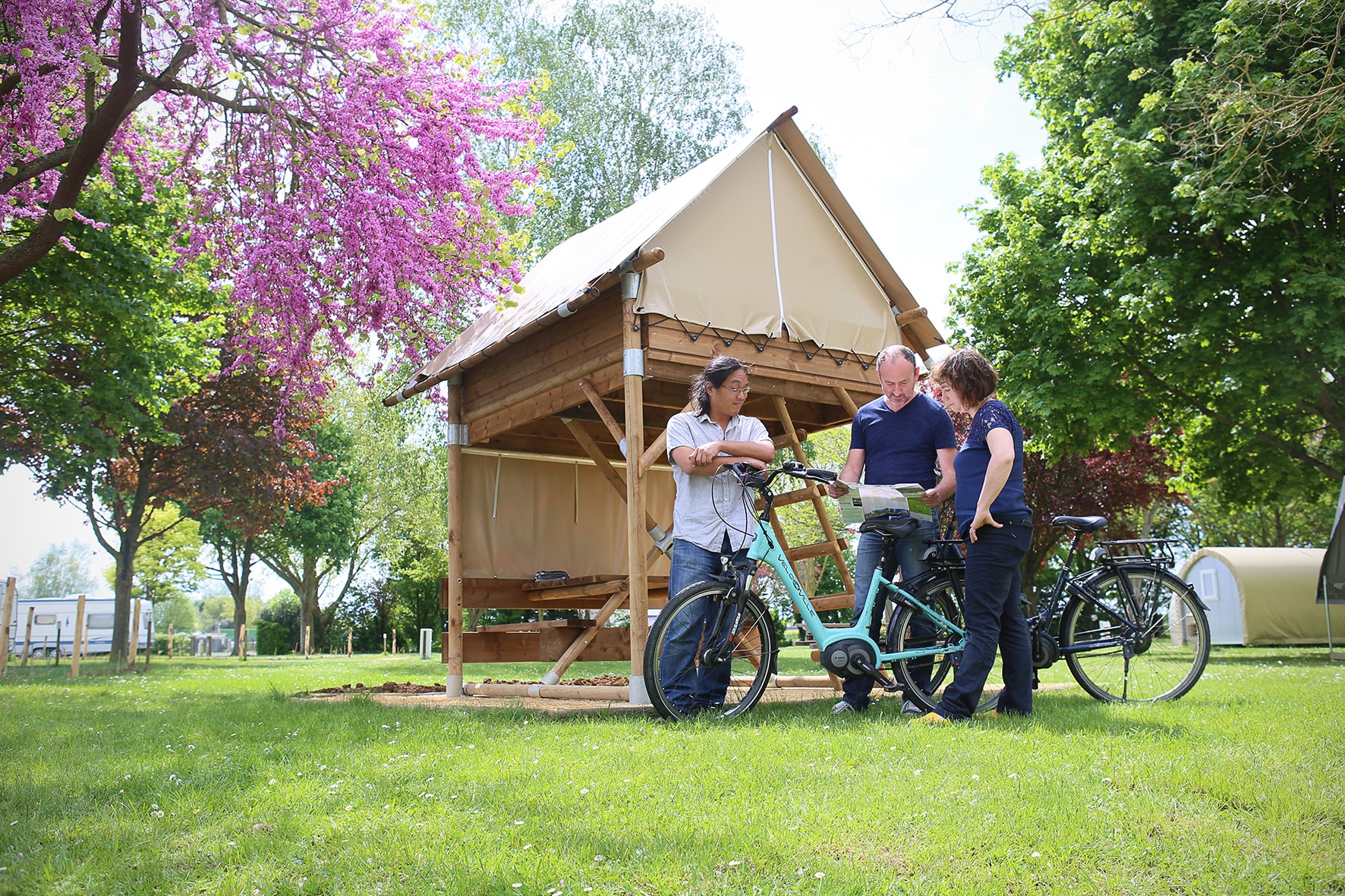 Naturcampingplatz mit Stellflächen und Bäumen