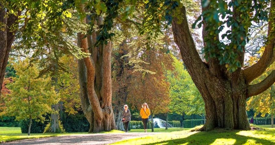 Seasonal trees in the Arboretum at Blenheim Palace