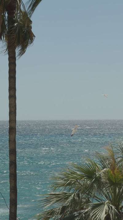 Coastal ocean view with palm trees from an EviDenS de Beauté campaign