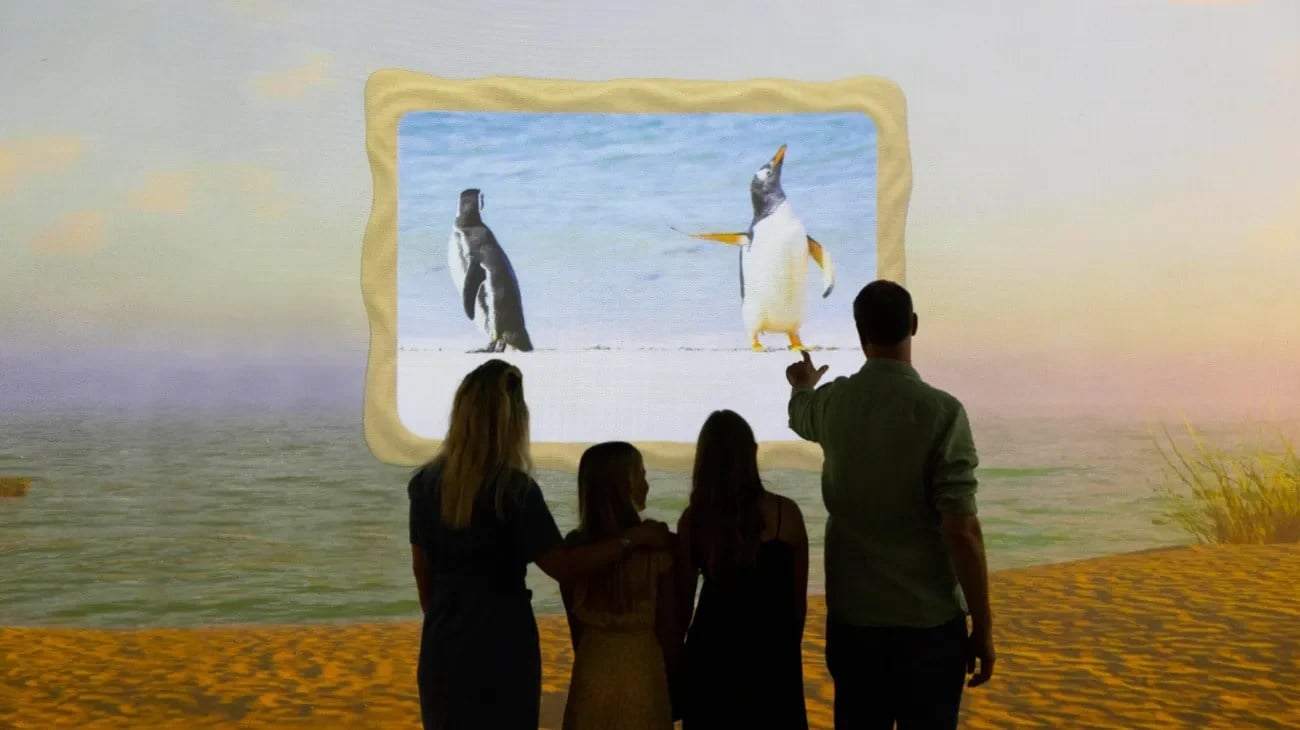 Beach wildlife scene from the Comedy Wildlife Awards immersive experience at Frameless