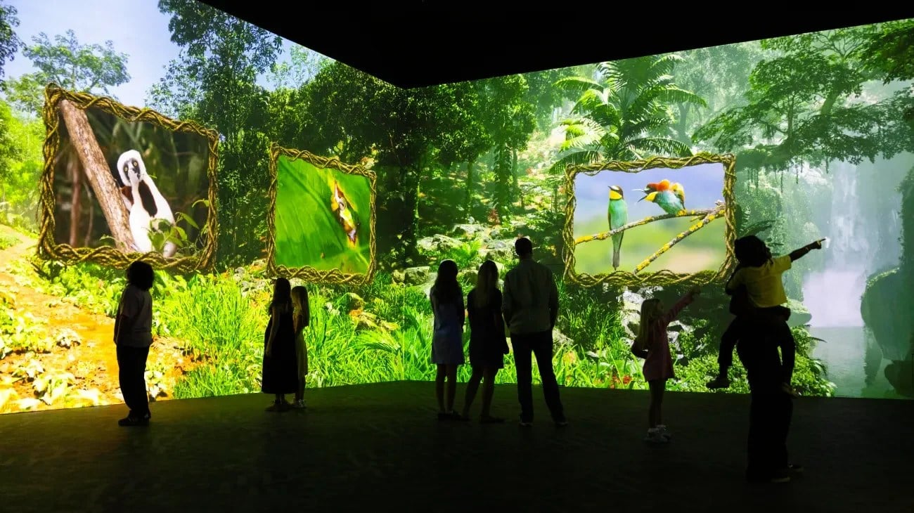 Jungle wildlife scene from the Comedy Wildlife Awards immersive experience at Frameless