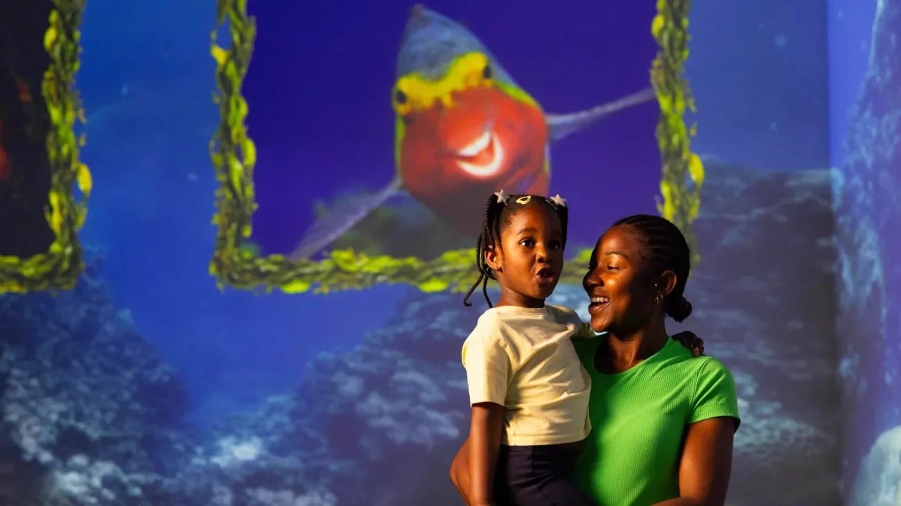 Ocean wildlife scene from the Comedy Wildlife Awards immersive experience at Frameless