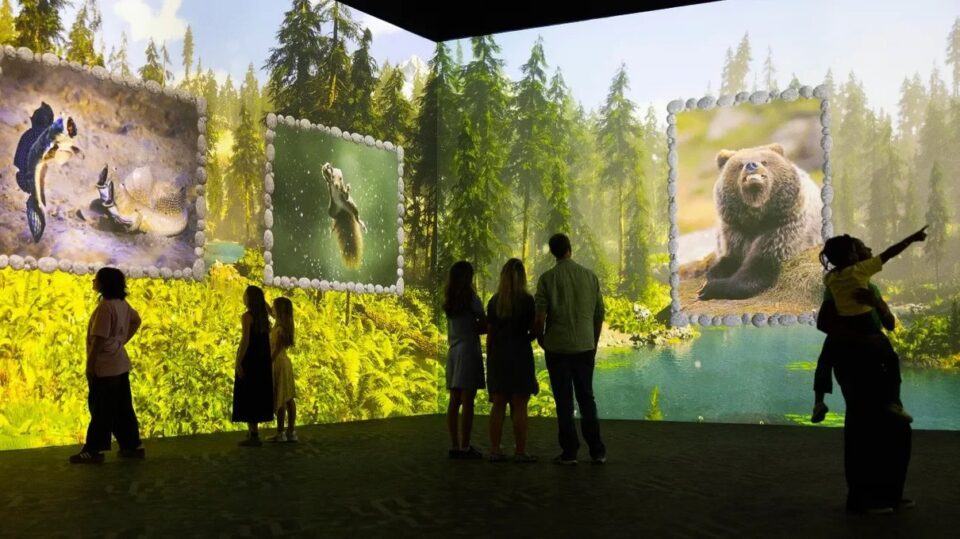 Immersive wildlife imagery in Frameless river habitat gallery