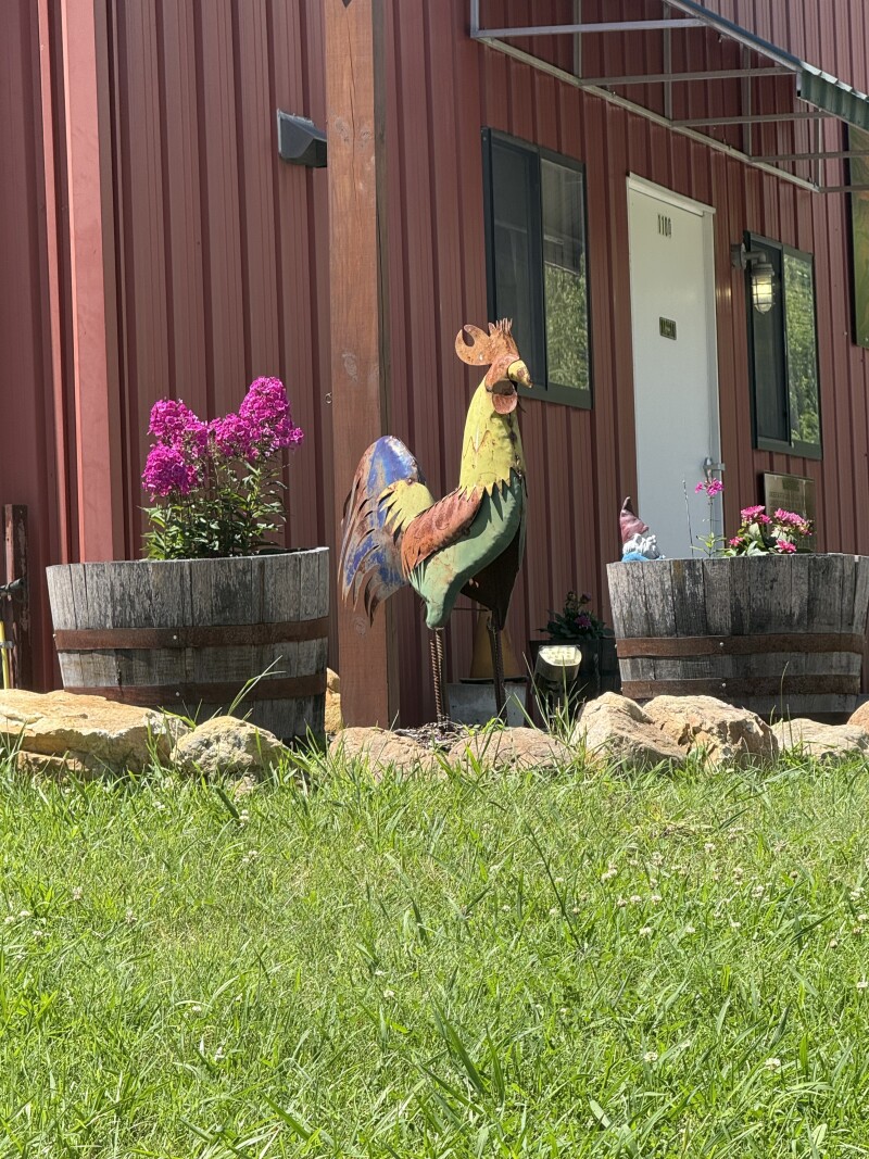 Rooster statue outside a red farm building