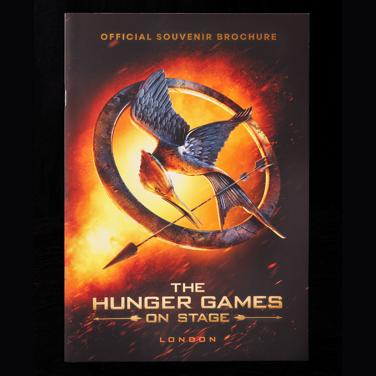 Hunger Games on Stage brochure from the official shop