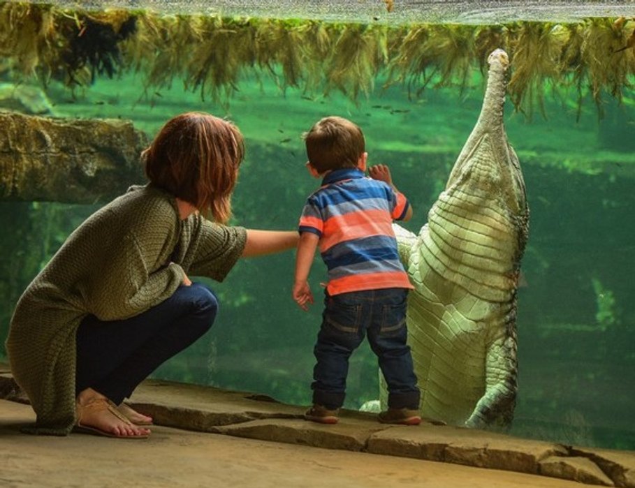 Family visiting a wildlife habitat at Chester Zoo