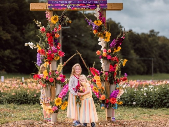 Pick Your Own Flowers event at Forage Farm