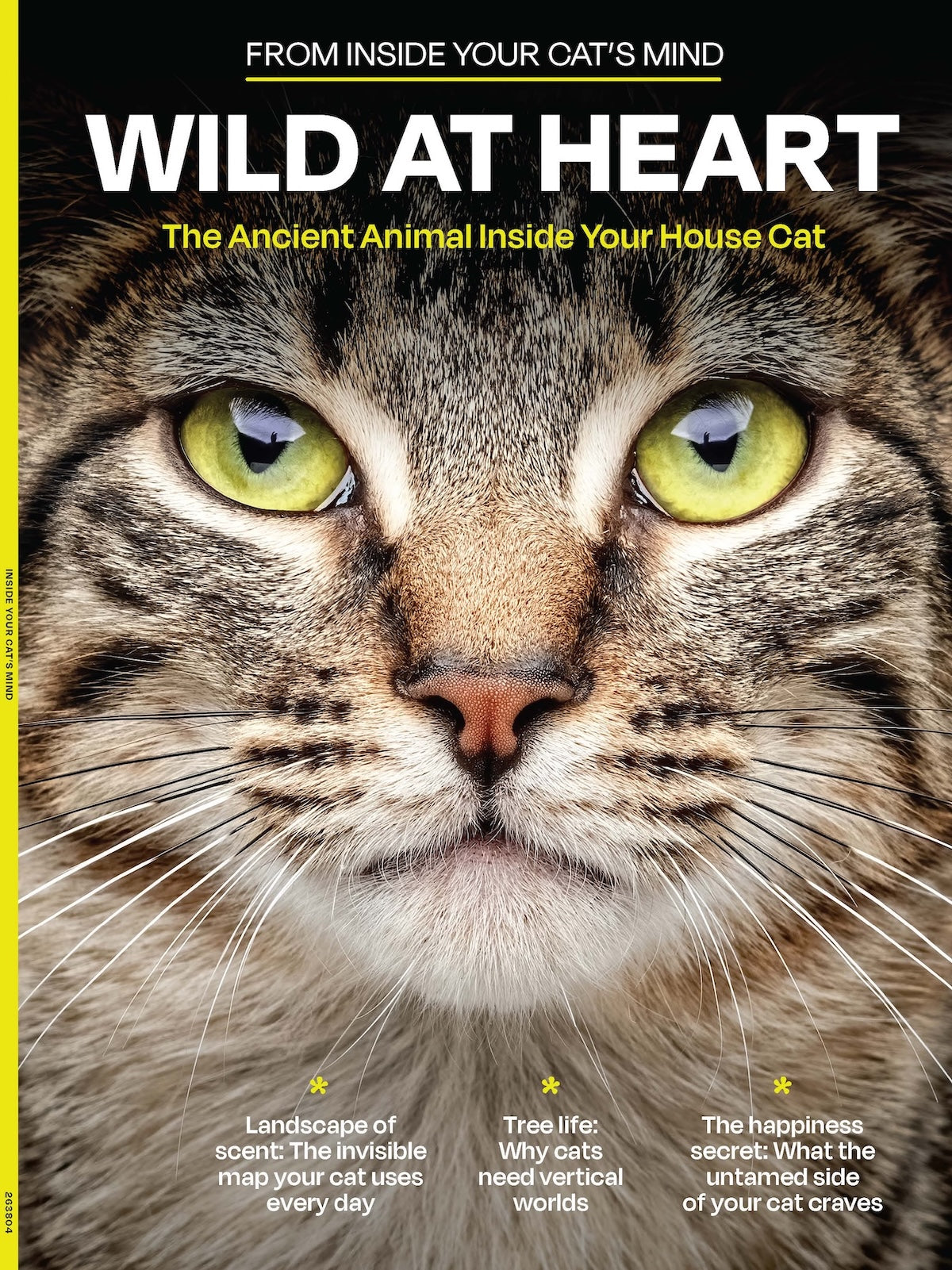 Cover of Inside Your Cat’s Mind Wild at Heart magazine guide