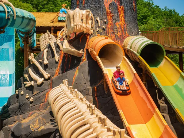 Attraction aquatique DinoSplash à Plopsaland Ardennes
