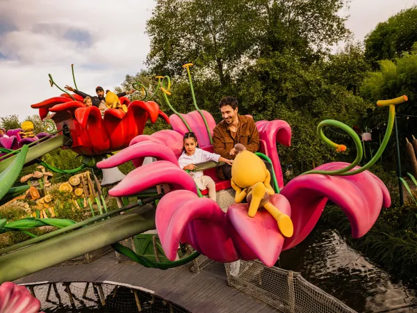 Attraction aquatique Maja’s Blütensplash à Plopsa en Allemagne
