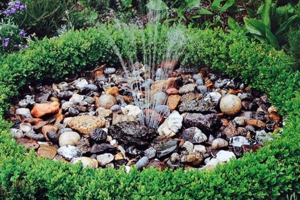 Family enjoying a backyard pond