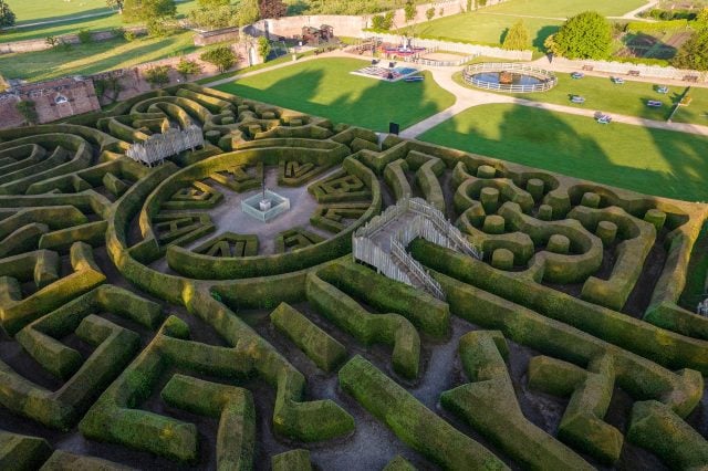 A hedge maze at Blenheim Palace Adventure Play