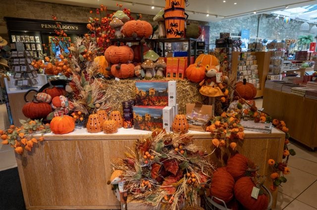 Seasonal autumn display at Blenheim Palace