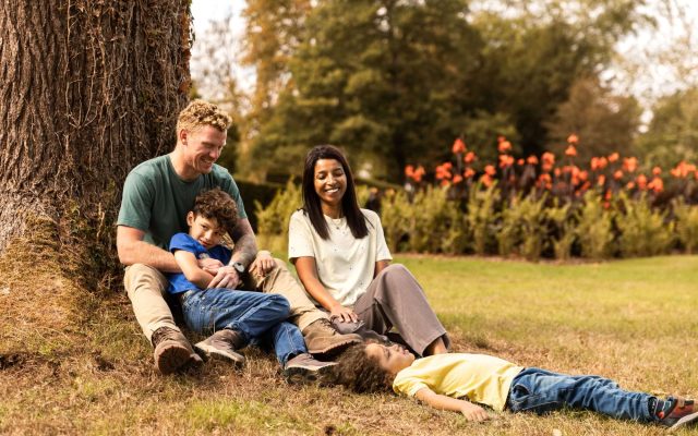 Visitors walking through the gardens in autumn