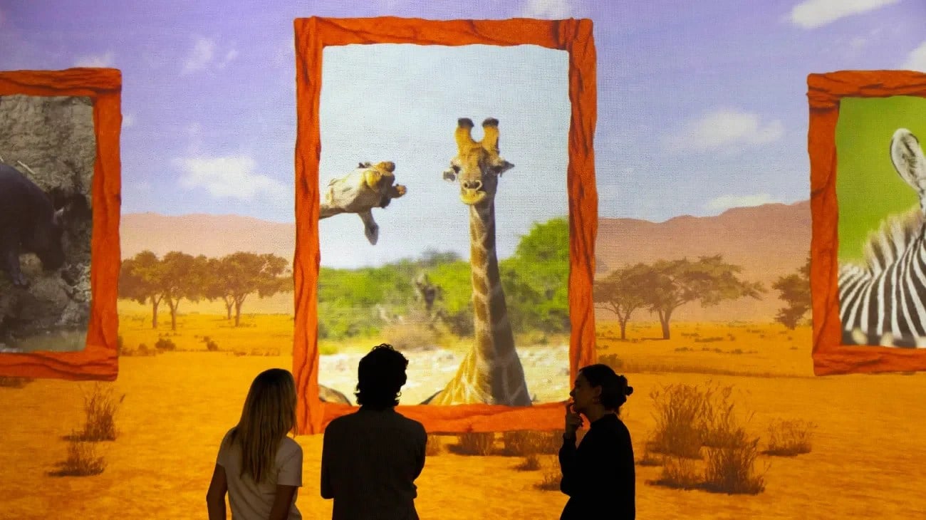 A humorous wildlife scene from Frameless Comedy Wildlife
