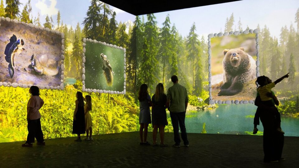 A colourful immersive wildlife scene at Frameless