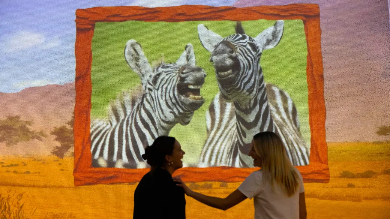 Another animal photograph shown in the Comedy Wildlife Awards experience