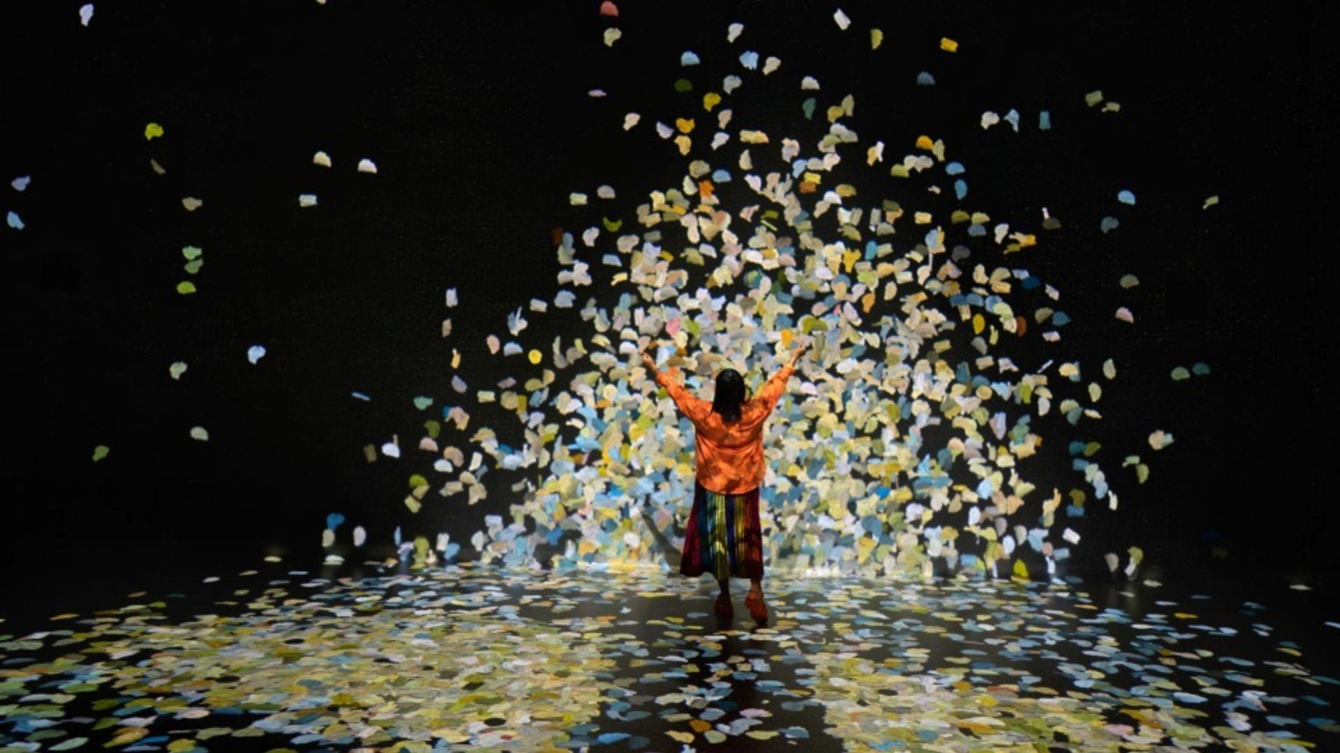 Colour in Motion projection featured with Frameless membership