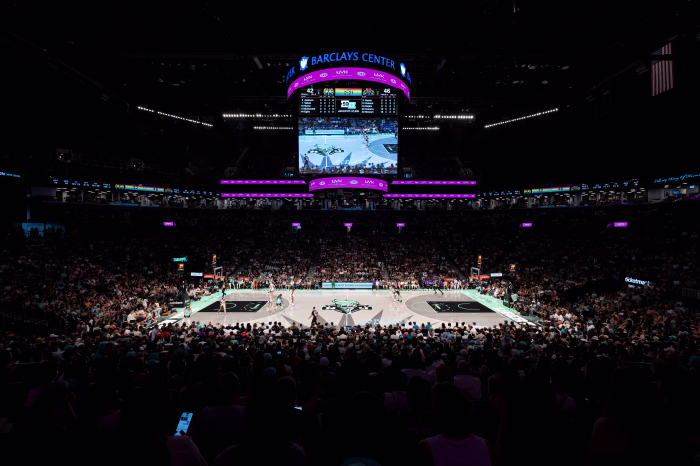 Fans watching a New York Liberty game