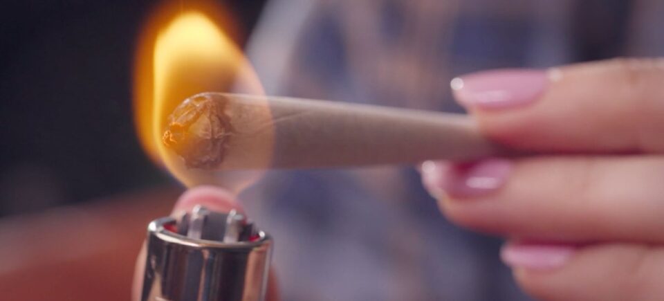 Flower being rolled into a joint in a close-up scene
